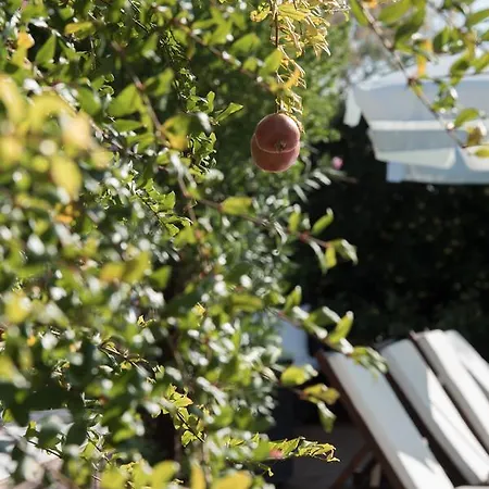 Appart hôtel Enalio Lechaio