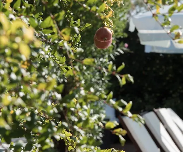 Apart Otel Enalio Lechaio